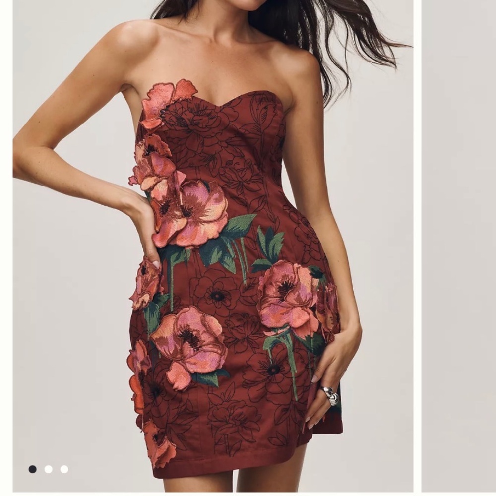 NWT anthropology dress**never worn***